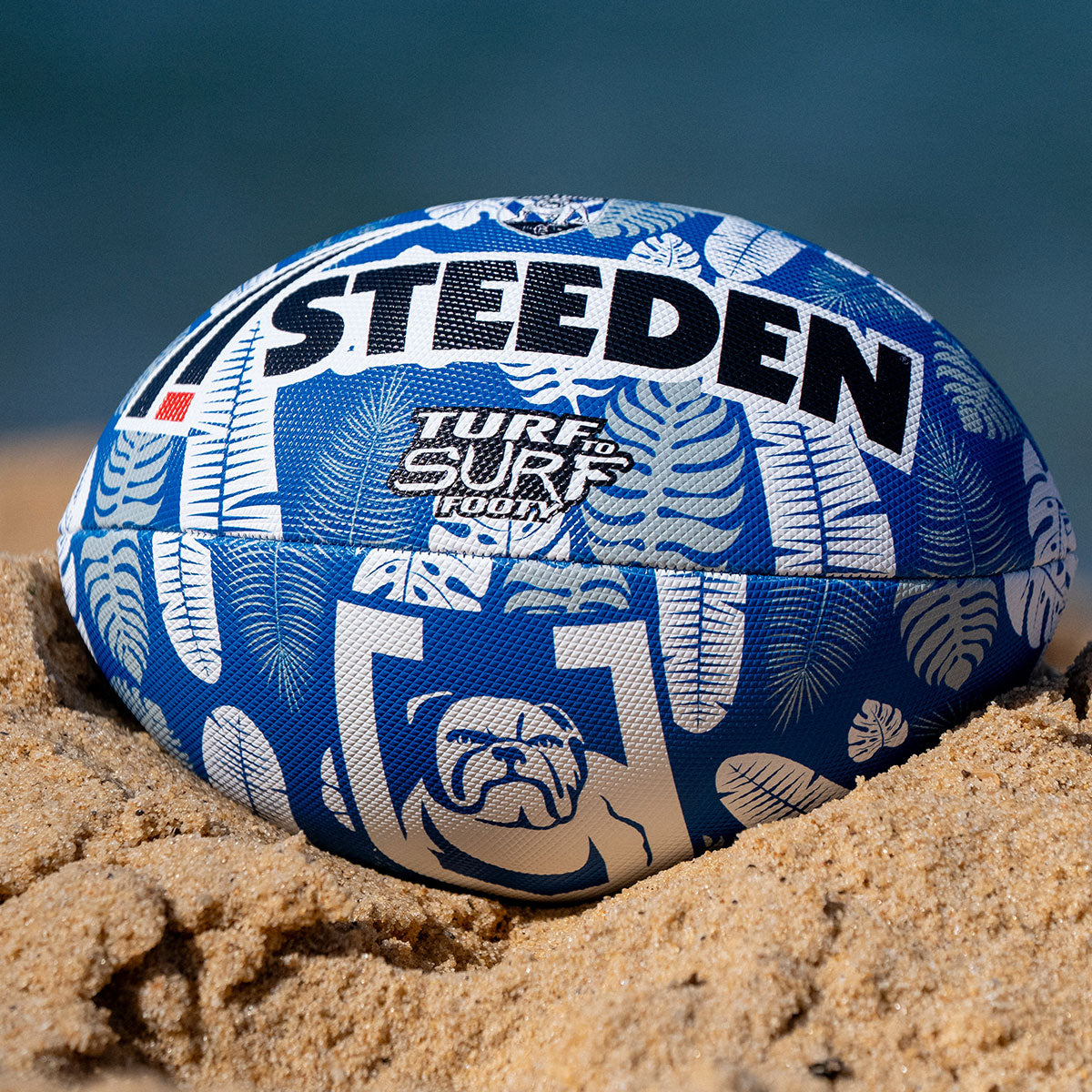 NRL Turf to Surf Ball