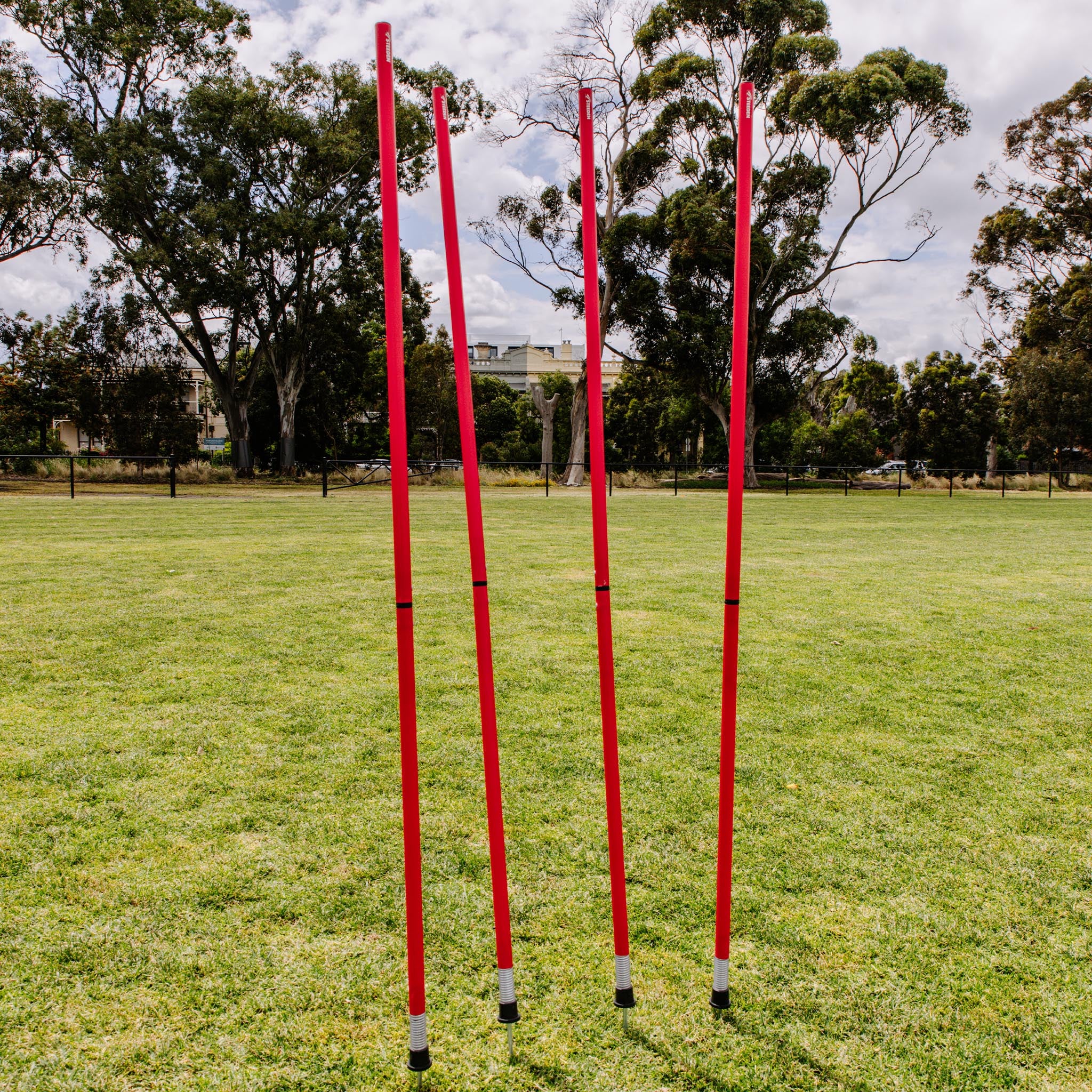Agility Pole - Two Piece